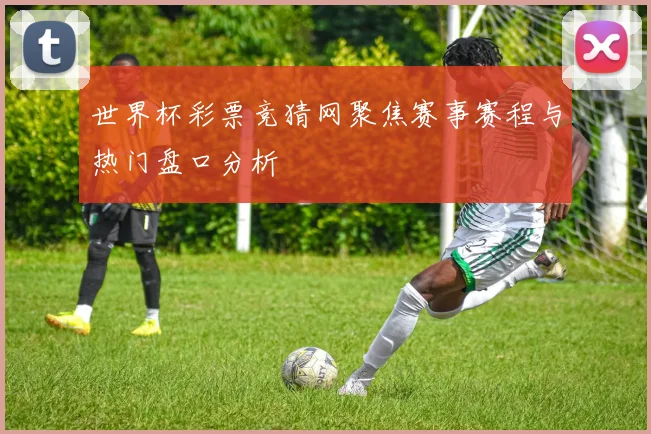 世界杯彩票竞猜网聚焦赛事赛程与热门盘口分析